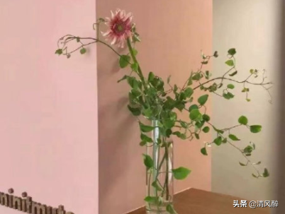 关于幸福的经典句子朋友圈说说 心情很好想发个朋友圈的句子图片
