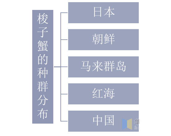 梭子蟹產(chǎn)業(yè)發(fā)展現(xiàn)狀及前景分析，梭子蟹供給量持續(xù)下降「圖」