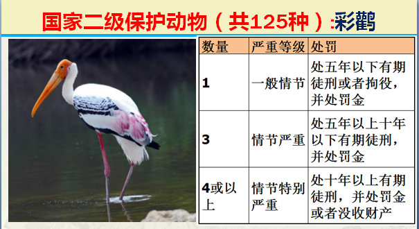 国家最新125类二级野生保护名录，图片及违法对应刑责