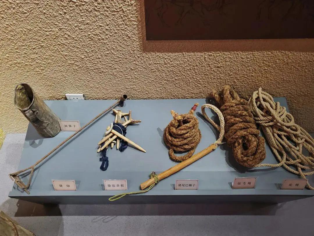 民勤县博物馆专题展《边塞诗史——民勤骆驼客》开展