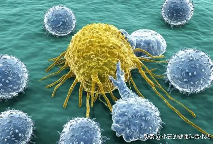 肠润茶、清肠茶真的可以常喝吗？不，含有这些中药成分的不能常喝