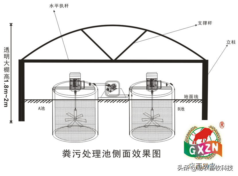 猪粪尿、尿泡粪（水泡粪）不固液分离混合发酵除臭变成液态有机肥