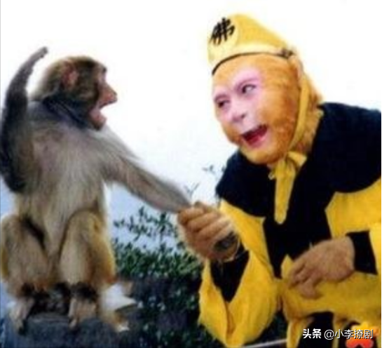 从“全民追捧”到“跌落神坛”，62岁的六小龄童做了哪些荒唐事？