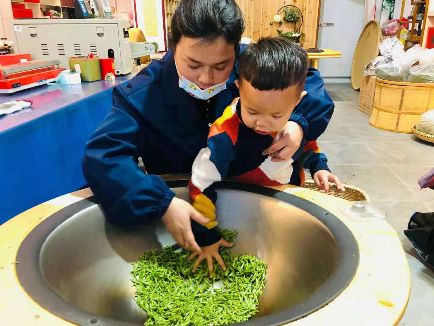 陸桐說茶：許多年后，茶樹長大了，他們卻老了