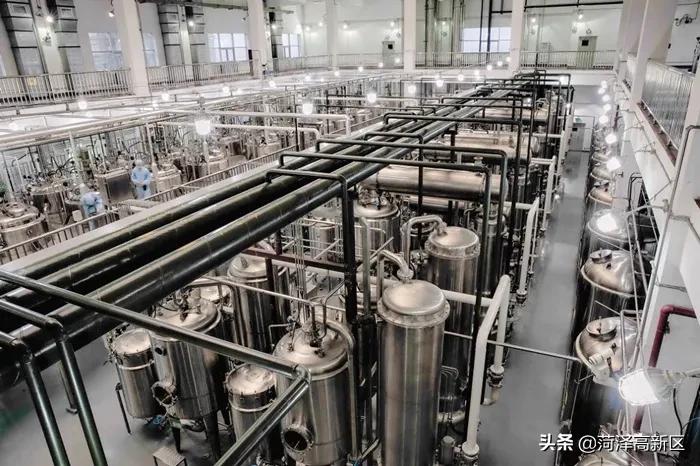 菏泽高新区精准服务生物医药产业集群 带动全市一盘棋