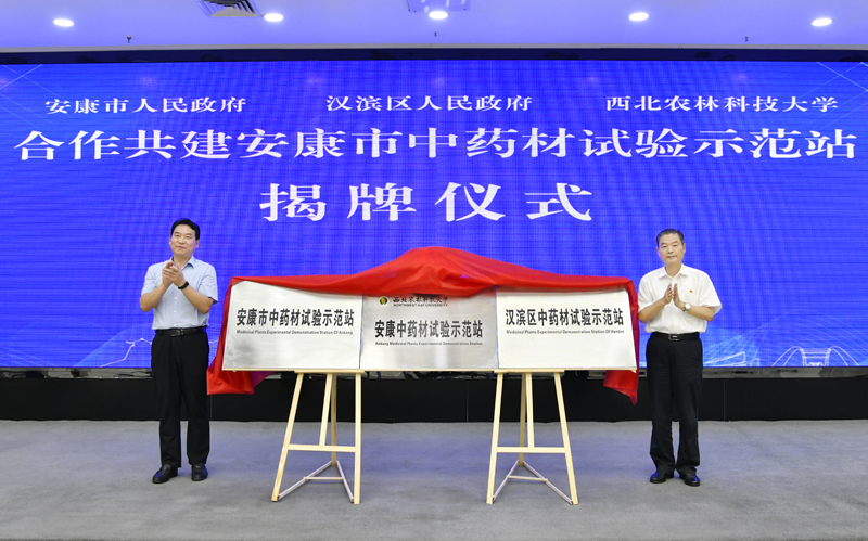 西北農(nóng)林科技大學(xué)首個中藥材試驗示范站在陜西安康建立