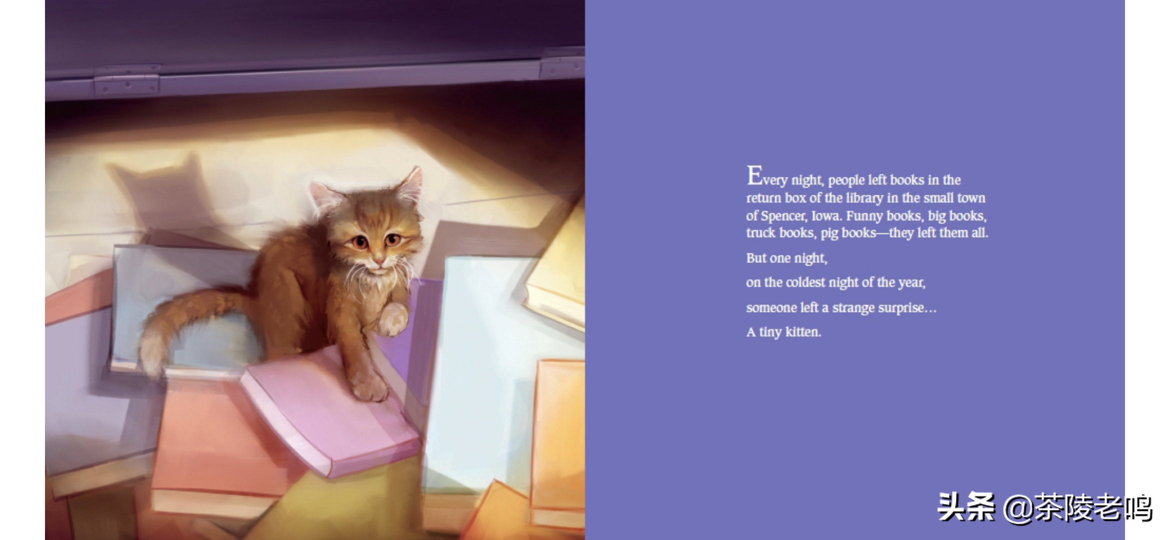 小貓杜威，人世間最溫暖的貓