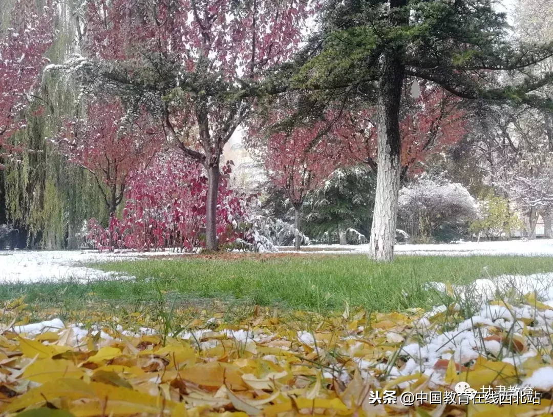 甘肃初雪|甘肃18所高校初学雪景大PK,快来看看有你的母校没?
