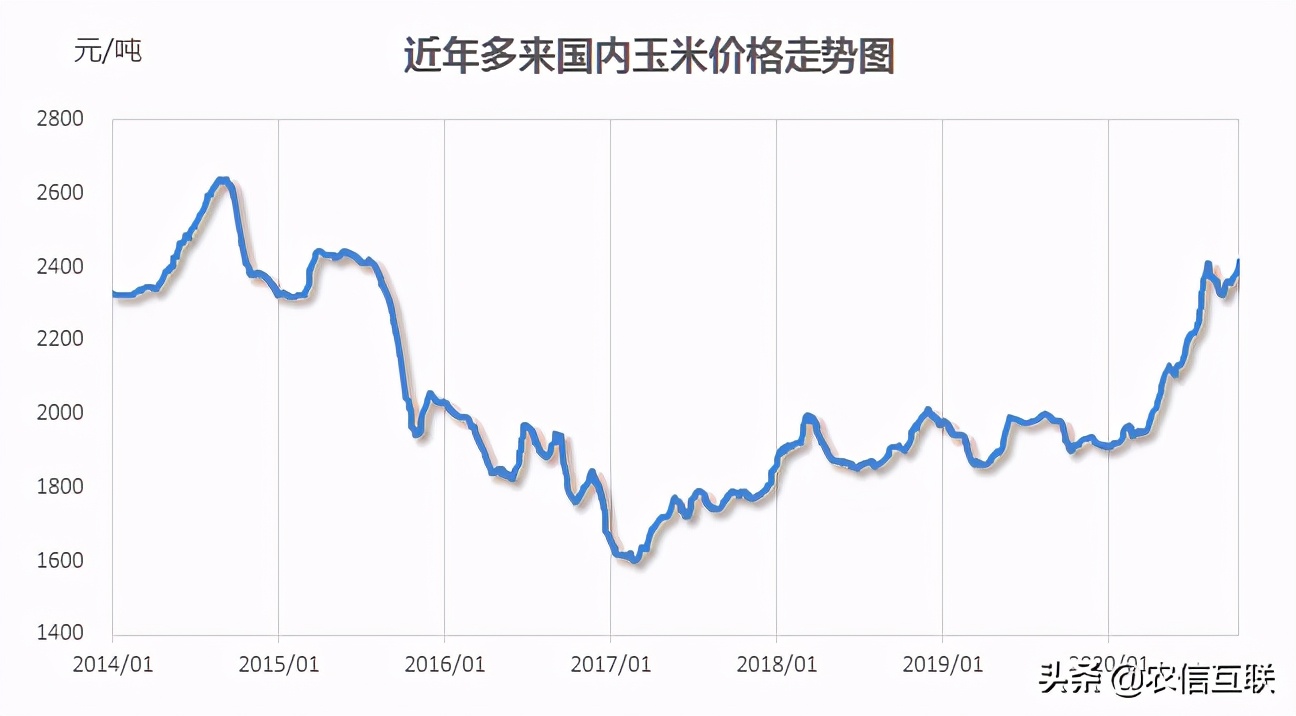 玉米价格为何连连走高？为何说春节后突破1.4元？这些都是理由