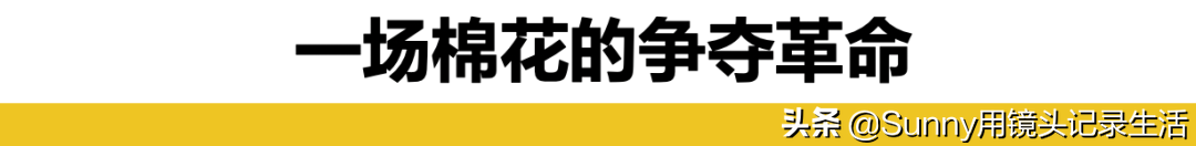 美国亚马逊疑下架全部中国棉制品！中国商户遭新型贸易战围剿-第23张图片-大千世界