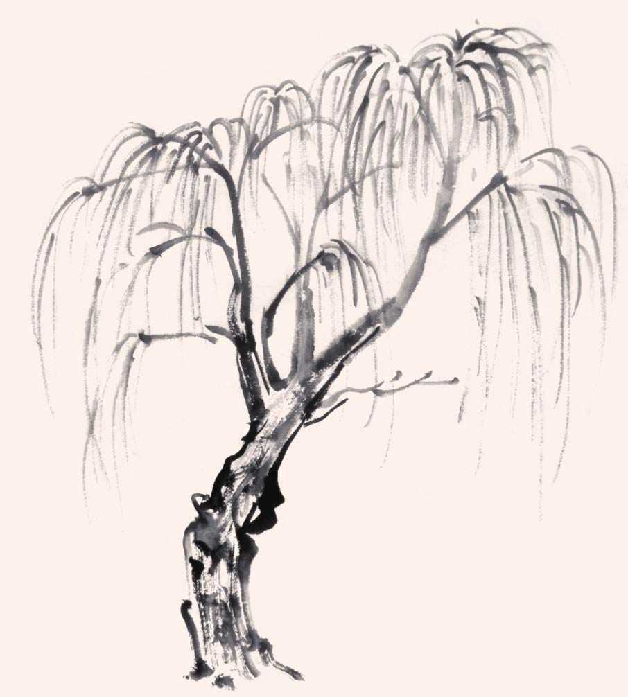 零基础国画教程:分步骤图解教你画3种常见树画法,简单易学