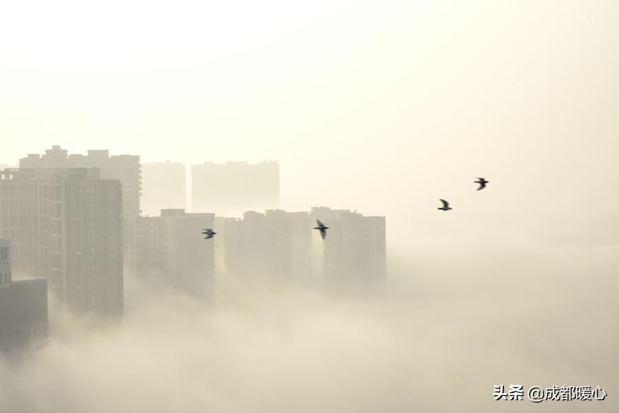 Atlas | Today's Chengdu suits Xiu Xian, big mist diffuses