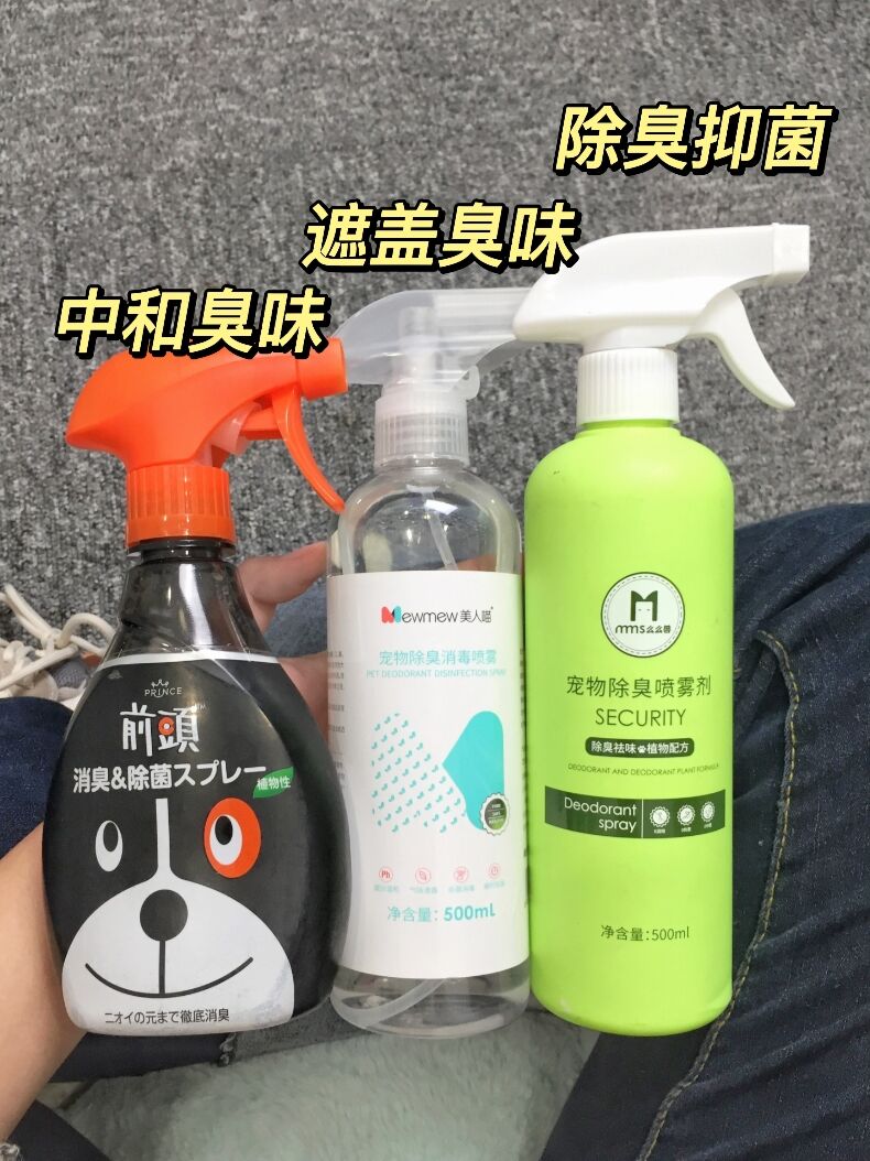 养猫半年才知道！！除臭还能这样？ - 资讯咖