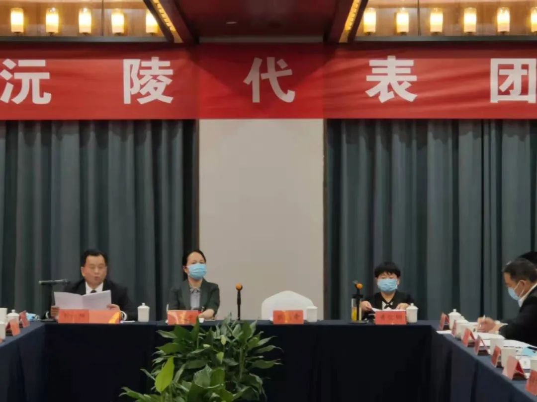 【图片新闻】市五届人大六次会议各代表团举行分组讨论