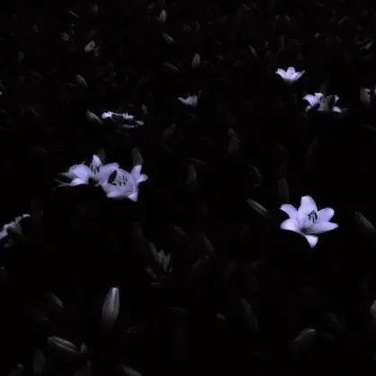 抖音热门背景图