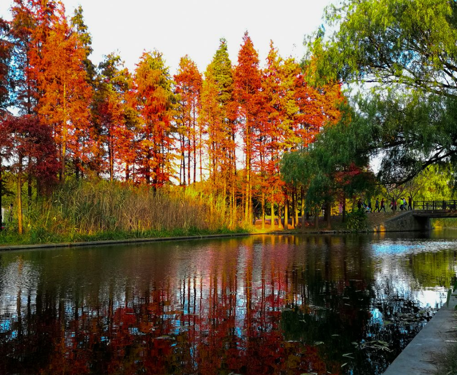 十首最美的秋日诗词，一起感知秋日美好-第9张图片-诗句网