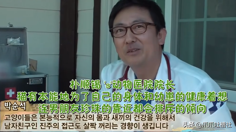 猫咪每日奔袭8公里，只为谈恋爱，谁说异地恋就没有好结局？