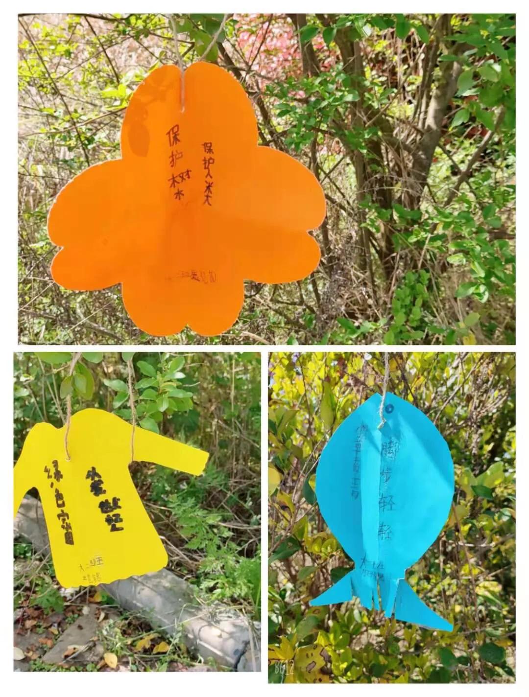 厚坡镇中心幼儿园户外实践活动