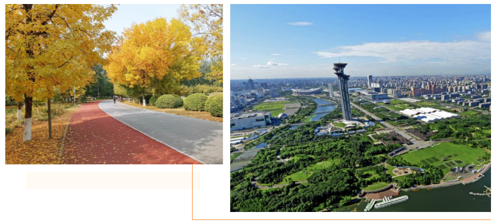 奥体法拍别墅4折开拍，秒杀直降2000万！手慢无