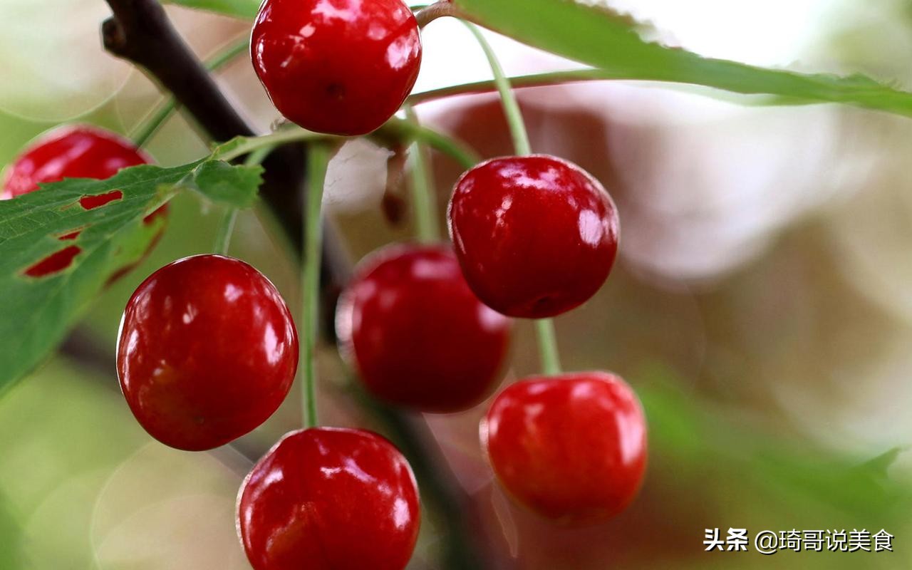 春末夏初,这4种水果正当季,泡酒做甜品都不错,应季而食身体棒 春末夏初,这4种水果正当季,泡酒做甜品都不错,应季而食身体棒