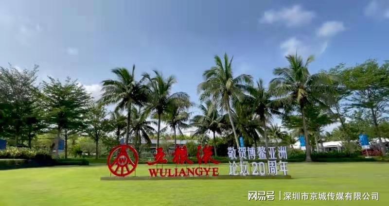 中国白酒与世界对话，五粮液亮相博鳌亚洲论坛