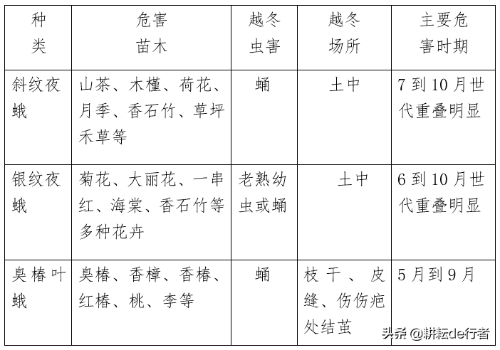 暖冬情况下，园林病虫害防治-第12张图片-农百科