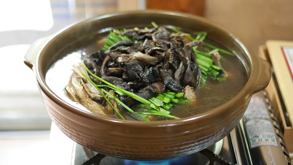 棬ûӪٷ4ʱں̲