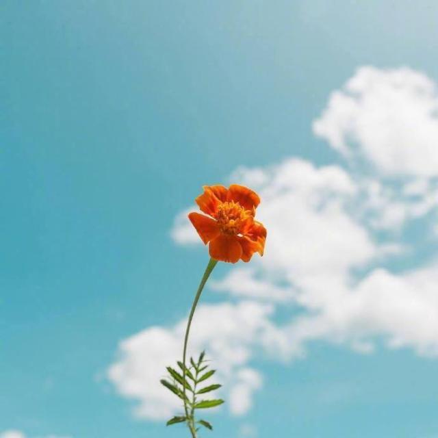 每月第一天句子正能量 每月开头的第一天说说发的朋友圈图片