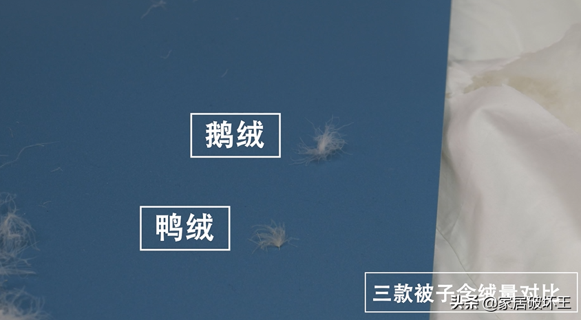 幾百到幾千的羽絨被，到底差在哪里？