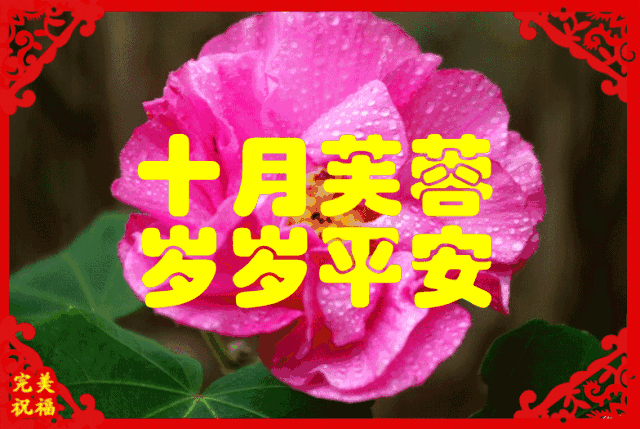今日元宵节，祝福送上
