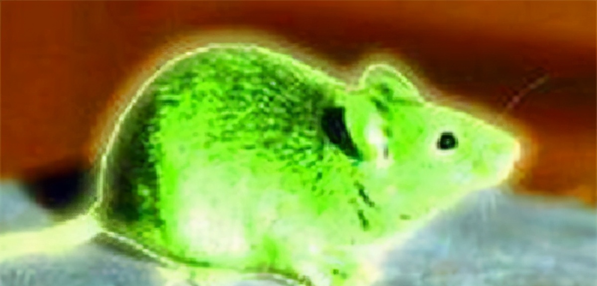 �ҹ��ƻ�ļ���󰸣�ԭ�ӵ�������Щ������͵�ԣ�������ư��ؼ�