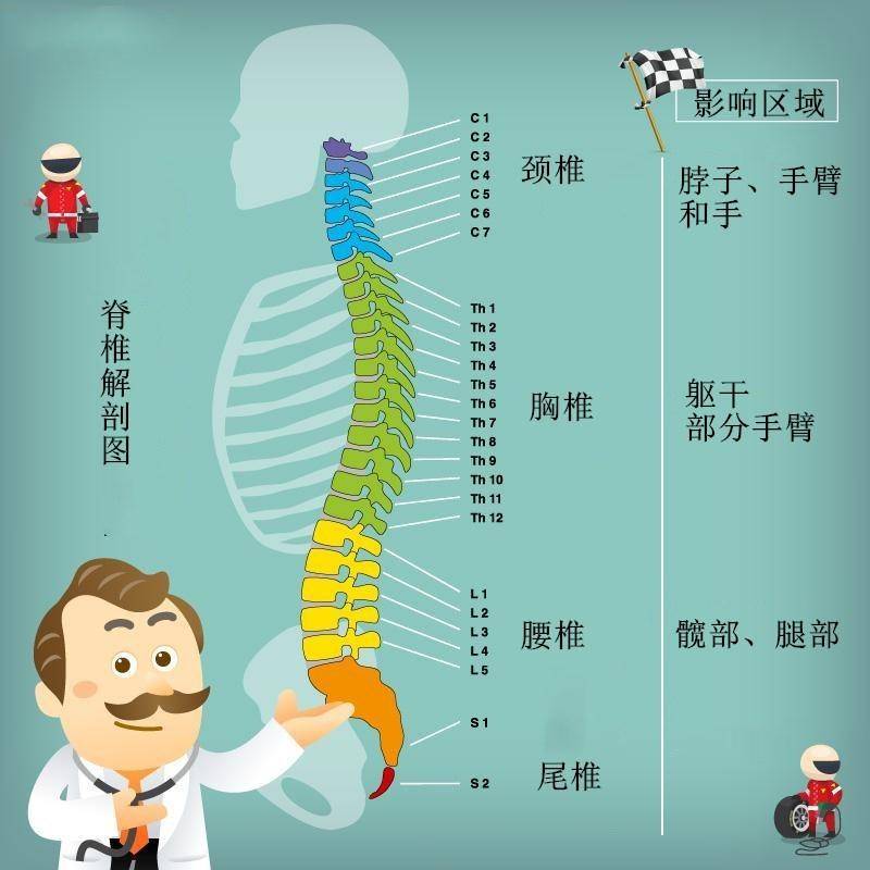 国际脊髓损伤关注日 || 关于脊髓损伤你了解多少?