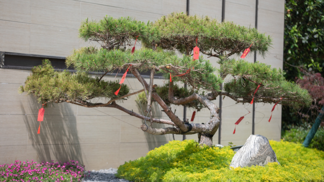 新家剧透丨建业花园里交付在即，大美佳境抢先看