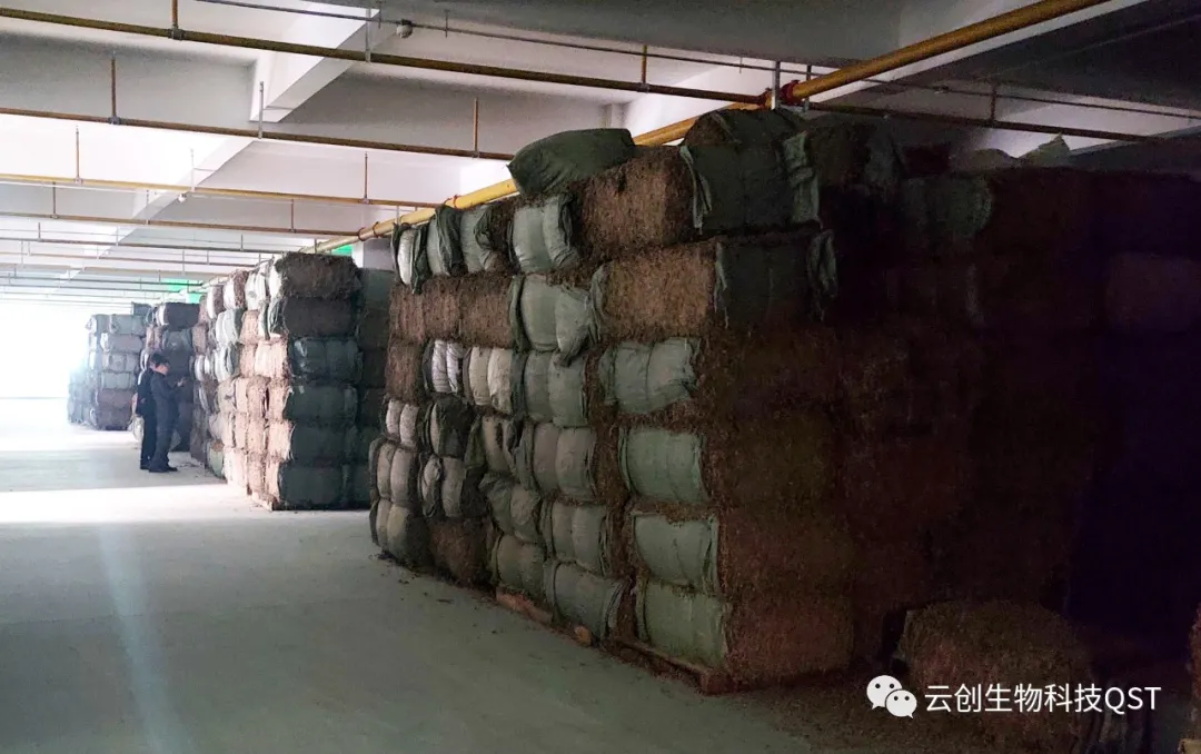 专业专注，匠心可见——中创集团考察团前往李时珍医药集团考察