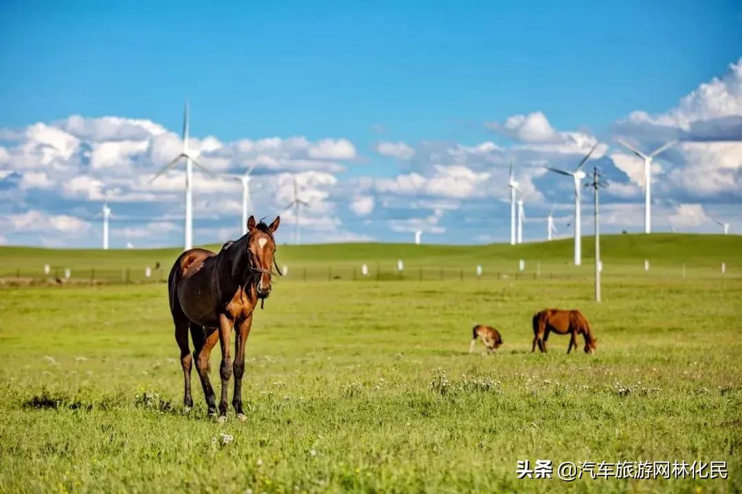 疯玩贡格尔草原 醉美锡林浩特纯玩五日游