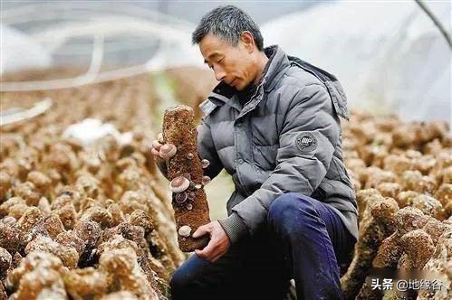 同处半岛，辽宁和山东差距为何越拉越大？