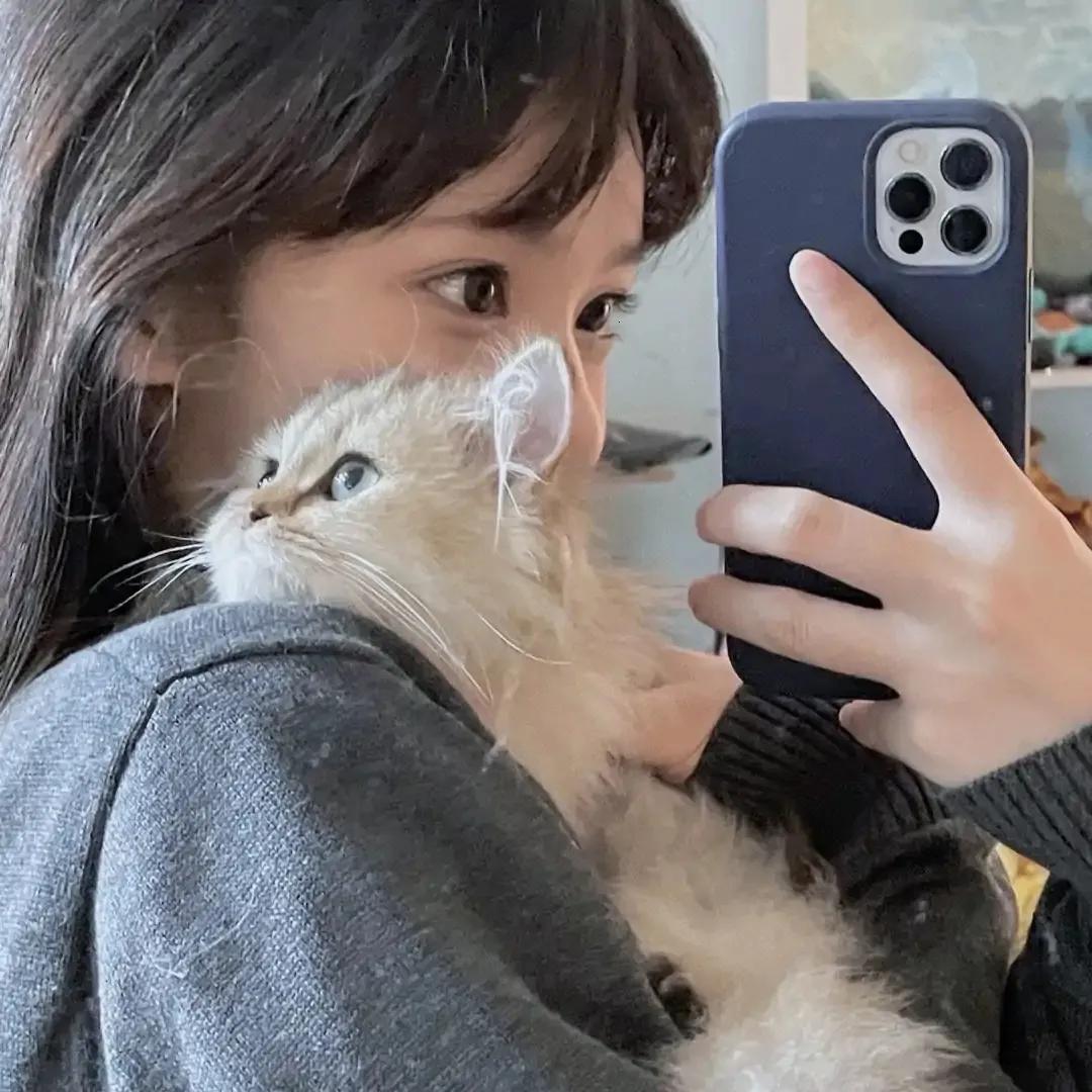 温柔到爆的神仙文案