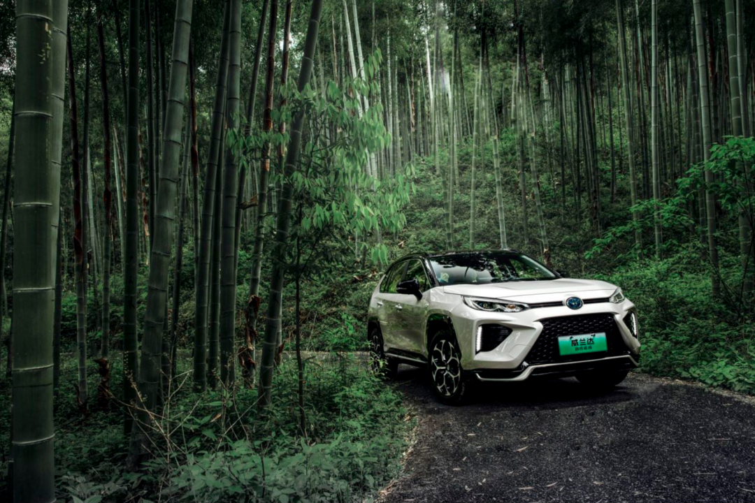 30万、300多匹、一箱油上千公里，威兰达高性能版傲视同级