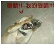 秦海璐总结总裁文套路，“总裁”看了，直呼内行！