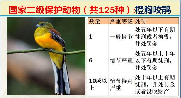 国家最新125类二级野生保护名录，图片及违法对应刑责