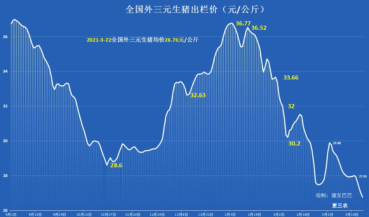 22日猪价跌成“熊”，行情大跌超10元，养殖户：我太难了