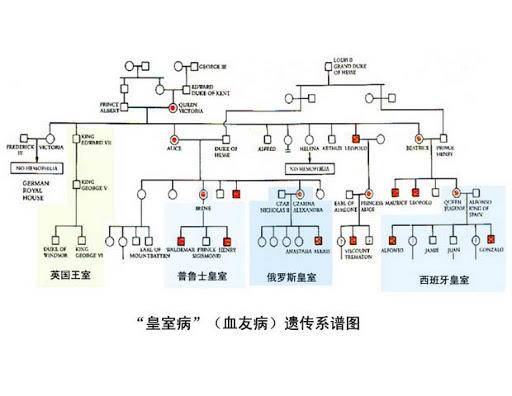 動(dòng)物回交是怎么回事，有風(fēng)險(xiǎn)嗎？為什么人類(lèi)要讓動(dòng)物回交？