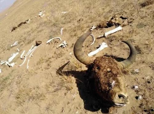 万祖之山昆仑山地狱之门的科学解密：有没有合理的科学解说？