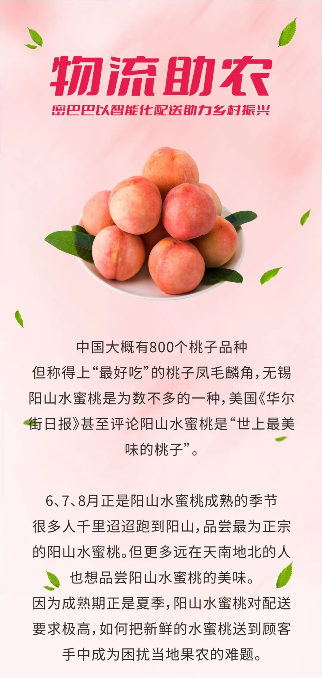 物流助农，密巴巴以智能化配送助力乡村振兴