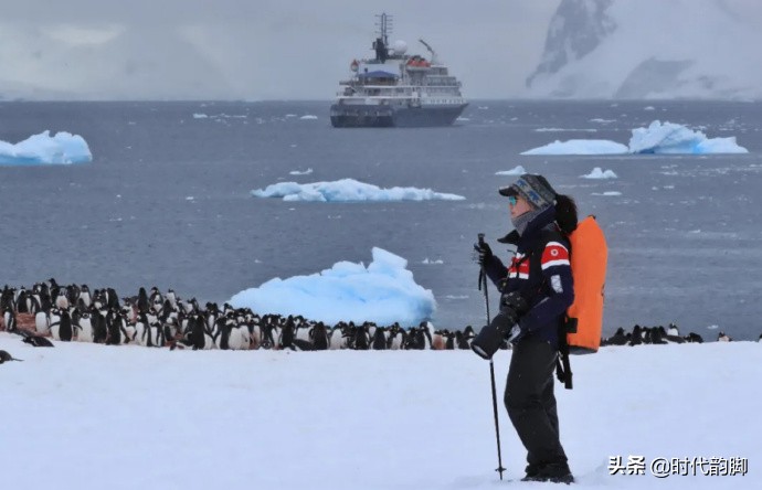 Go to work in antarctic: Of penguin, whale and expeditionary team member daily