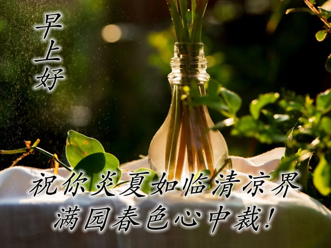 早上好文案配图片,早上好朋友圈正能量句子简短图片