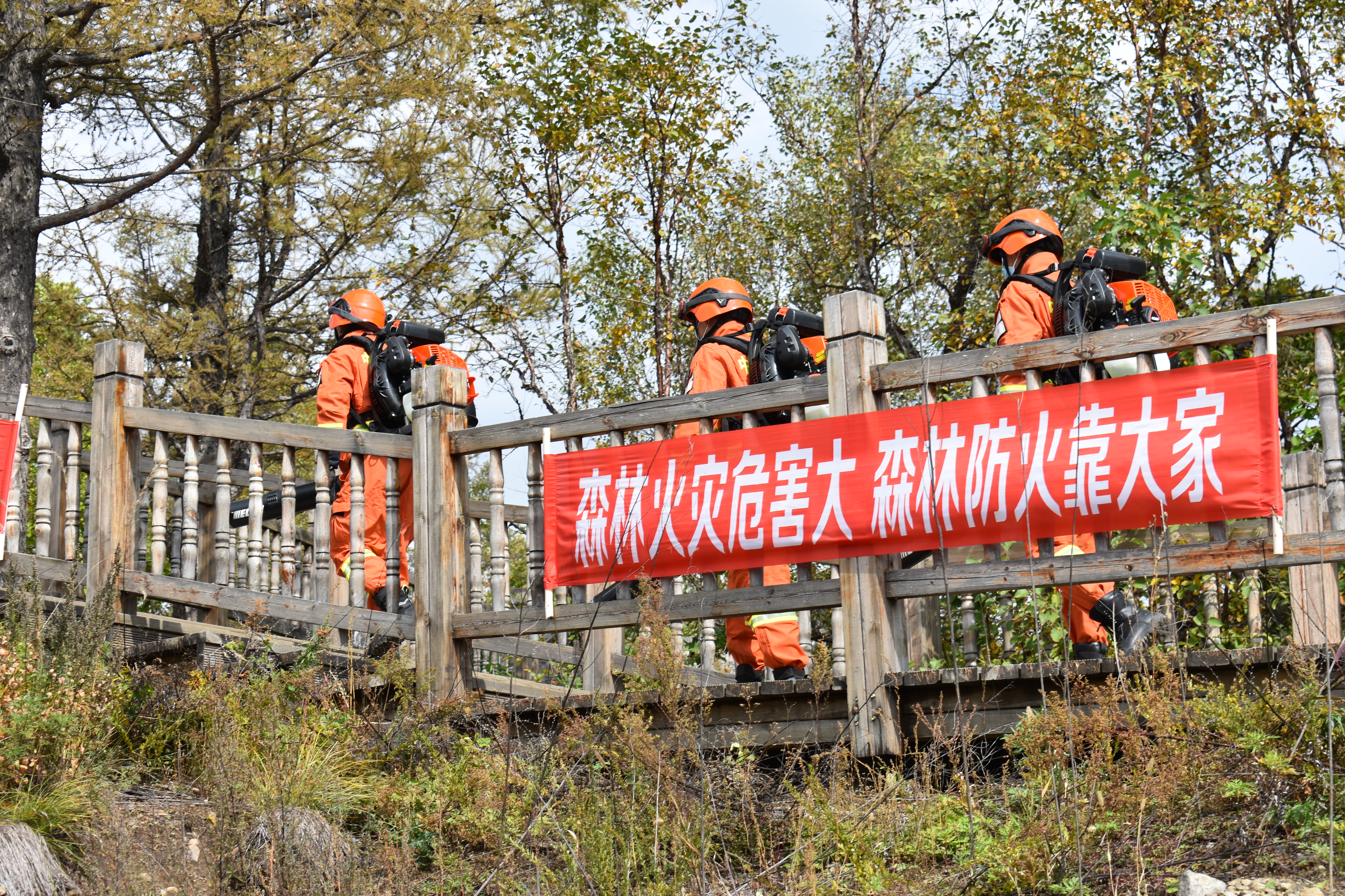 灭火常识|吹响北疆秋冬季森林草原防灭火“集结号”