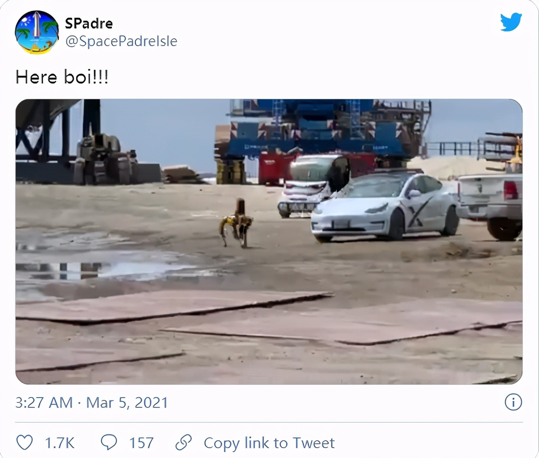 SpaceX的赛博朋克场景：机器狗检查星际飞船火箭残骸