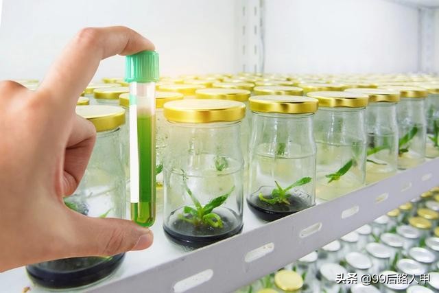 张江ATLATL创新研发中心，张江生物医药高端制造园区