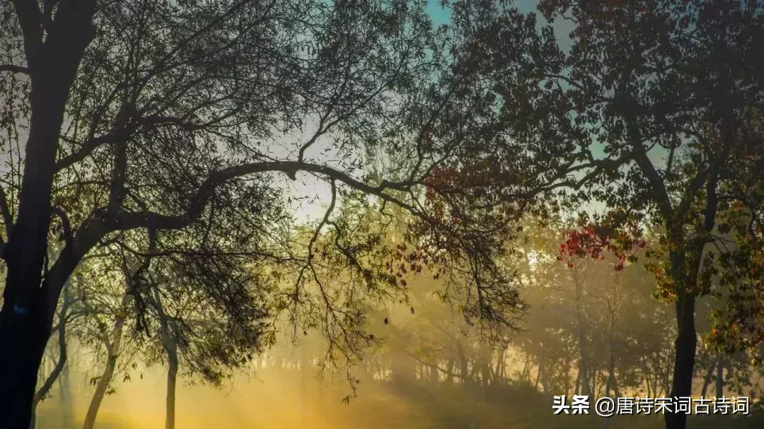 无比深情的十首爱情诗，每每读来都被其中凝含的深情所感动-第5张图片-诗句网